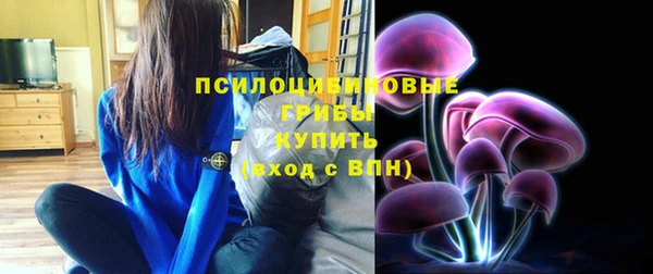 стаф Няндома