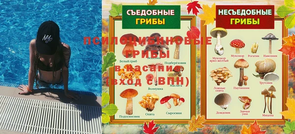 PSILOCYBIN Каменногорск