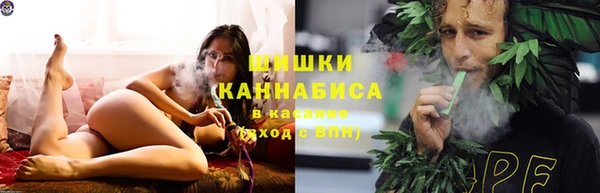 стаф Няндома