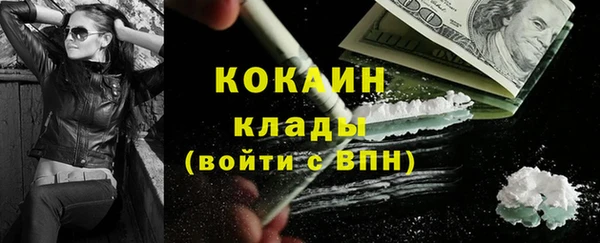 стаф Няндома