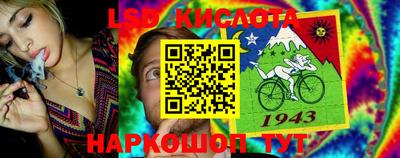 ALPHA PVP Камышлов