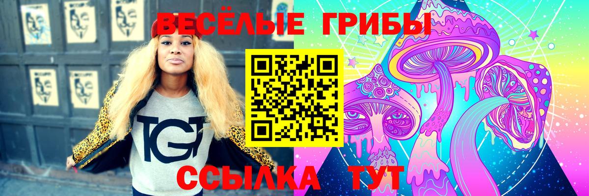 Галлюциногенные грибы MAGIC MUSHROOMS Котельники