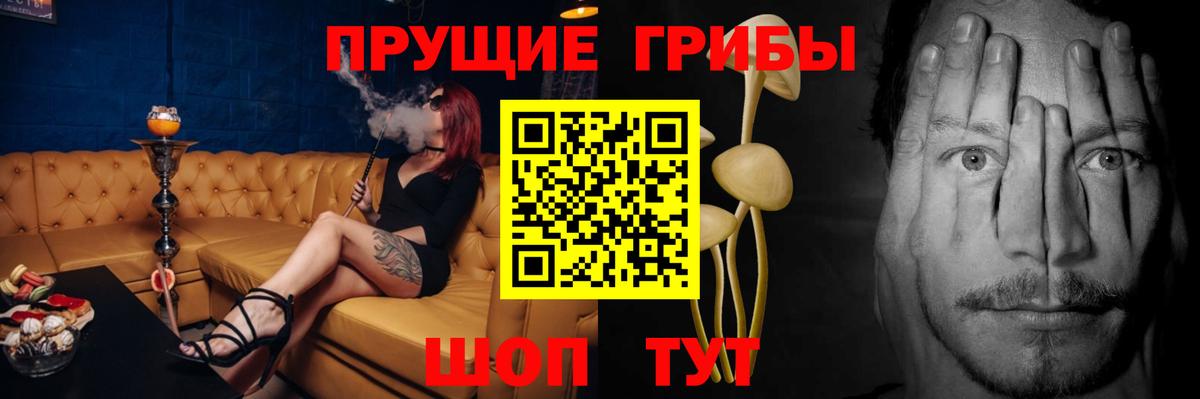 Котельники  Галлюциногенные грибы Psilocybine cubensis  Вход с VPN  Галлюциногенные грибы GOLDEN TEACHER 